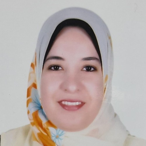 Enas A. Ahmed, Egypt